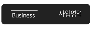 사업영역